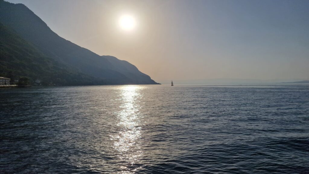 IMG-20260201-WA0042